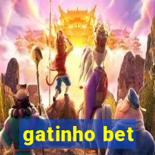 gatinho bet